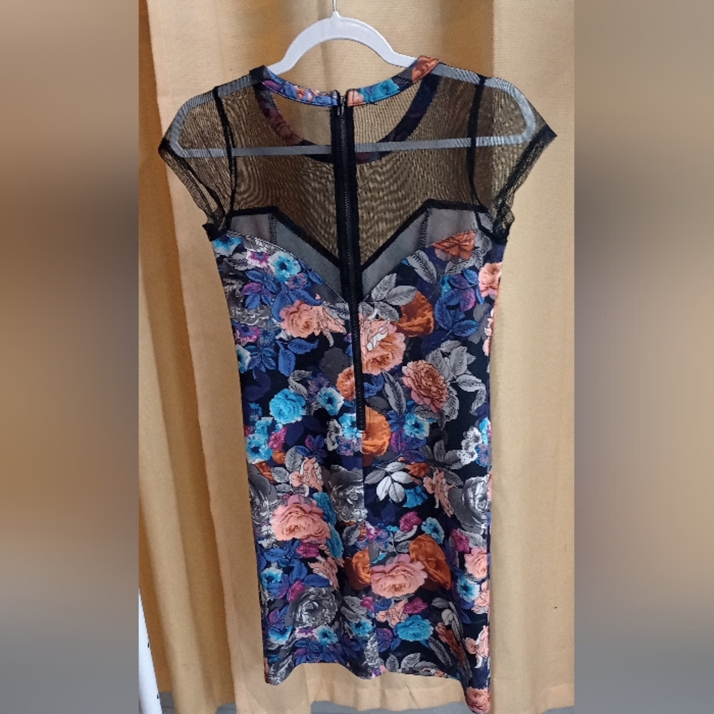 Floral & Mesh Dress size Small - Picture 2 of 6